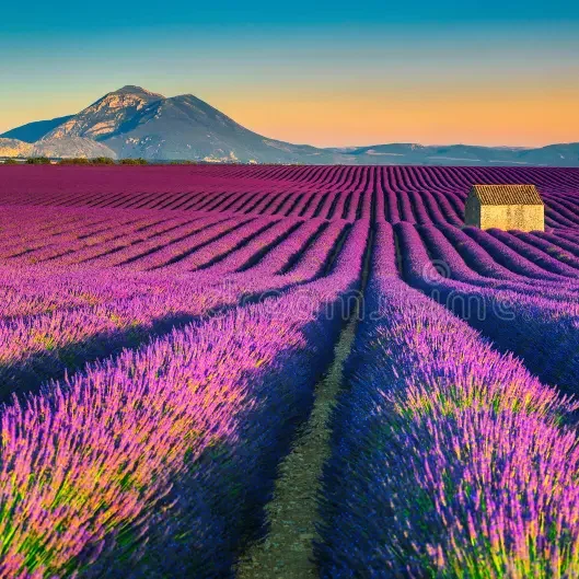 Piscine du Mas des Fontaines Piscine