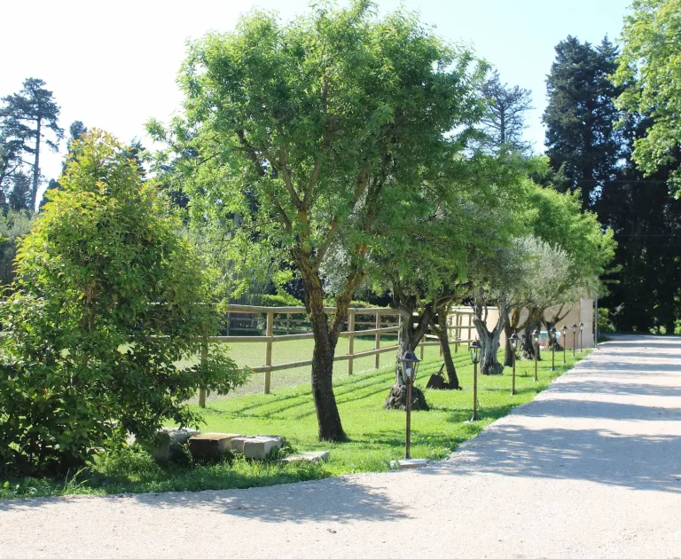 Piscine du Mas des Fontaines Piscine du Mas des Fontaines 5X11 mètres